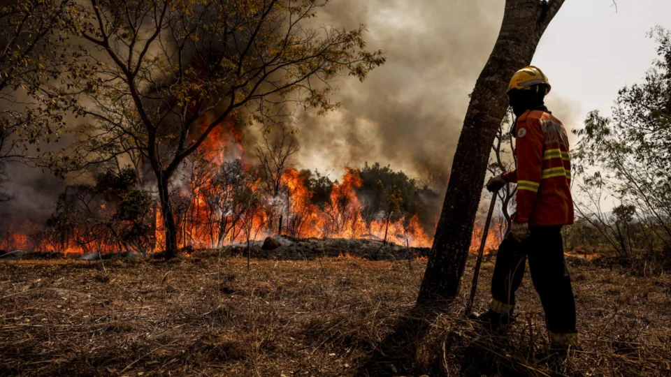 PF abre mais de 30 investigações para apurar incêndios criminosos no Brasil 
