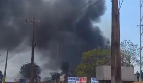 Vídeo: incêndio atinge pátio com veículos em Palmas