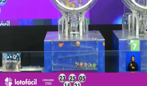 Lotofácil de hoje, quarta-feira (07/08), concurso 3175; prêmio chega a R$ 1,7 milhão