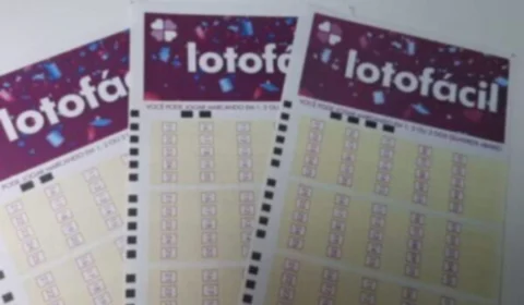 Lotofácil de hoje (14/08): veja números sorteados no concurso 3181