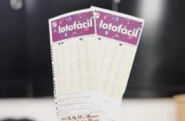 Lotofácil de hoje (15/08): veja números sorteados no concurso 3182