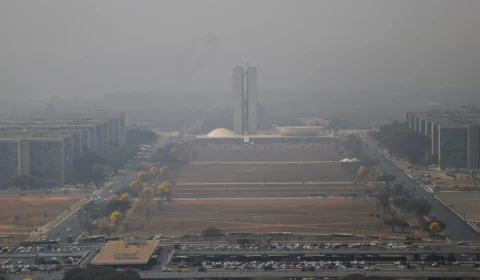 Queimadas no Brasil: deputados exigem investigação e ações