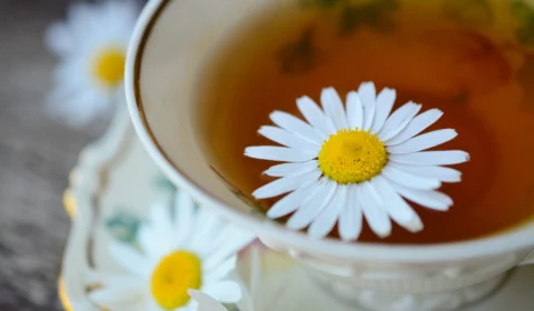 Chás para ansiedade: 5 opções naturais com efeito calmante; assista