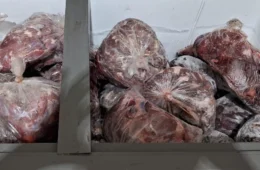 Norte Investigação expõe comida estragada e superfaturamento em escola do Acre