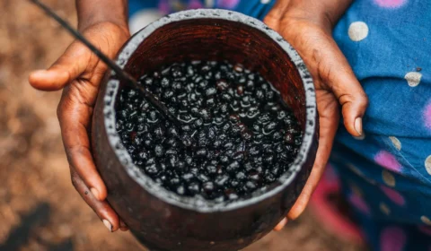 Açaí: você conhece todos os benefícios desse superalimento?