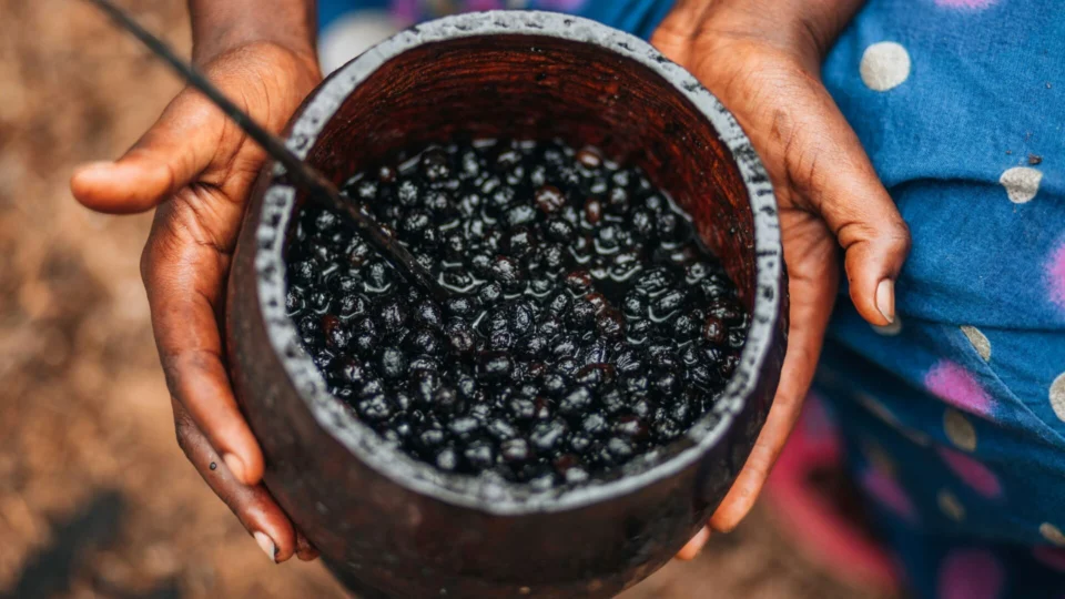 Açaí: você conhece todos os benefícios desse superalimento?