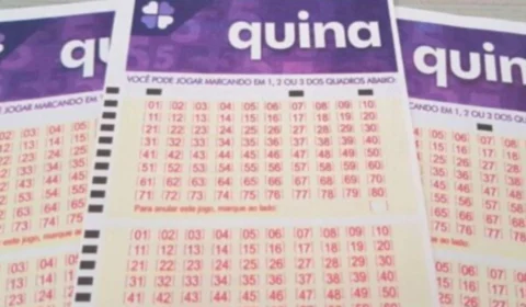 Quina de hoje (8/08): veja números sorteados no concurso 6502