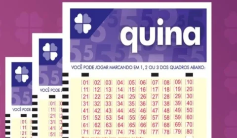 Resultado Quina de hoje (20/08): veja números sorteados no concurso 6512