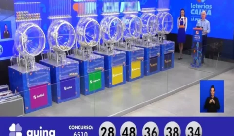 Quina de hoje, segunda-feira (19/08), concurso 6506; prêmio chega a R$ 700 mil