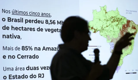 Brasil perdeu 33% das áreas nativas, com maior impacto na Amazônia