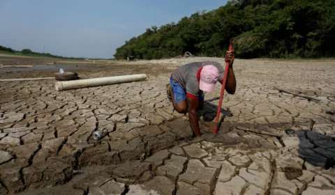 Seca deixa todos os 62 municípios do Amazonas em emergência