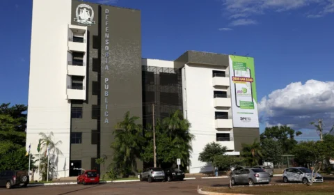 DPE-TO promove mutirão com teste de DNA a R$100,00