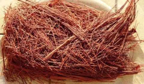 Chá de Uxi-Amarelo: saiba para que serve e aprenda a fazer