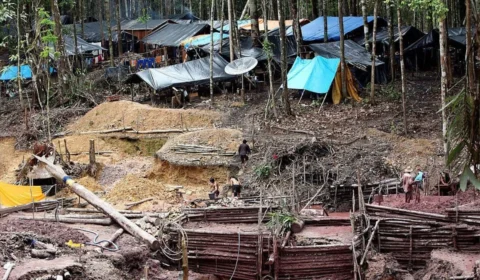 Desmatamento fez Amazônia perder território do tamanho da Colômbia