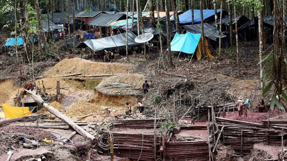 Desmatamento fez Amazônia perder território do tamanho da Colômbia