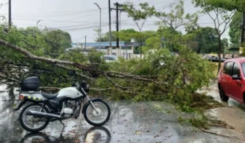 Forte temporal deixa 24 bairros sem energia em Manaus
