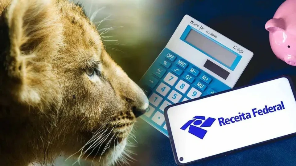 Caiu na malha fina do IR 2024? Saiba como regularizar a situação