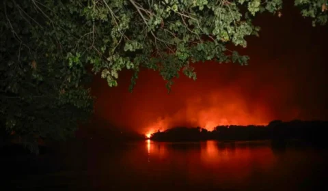 Delegado aponta indícios de ação coordenada em incêndios no Brasil; veja