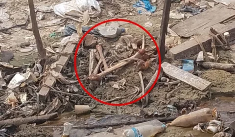 Seca traz à tona ‘cemitério de ossos’ no Educandos, em Manaus