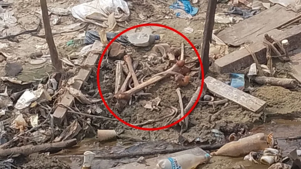 Seca traz à tona ‘cemitério de ossos’ no Educandos, em Manaus