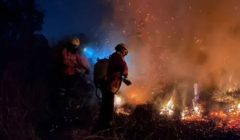 Brasil registra mais de 154 mil focos de calor em 2024