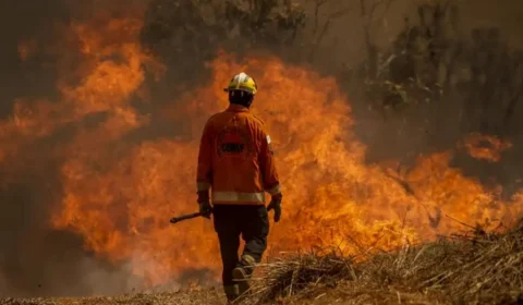 Brasil é o país da América do Sul com mais focos de incêndio, diz INPE