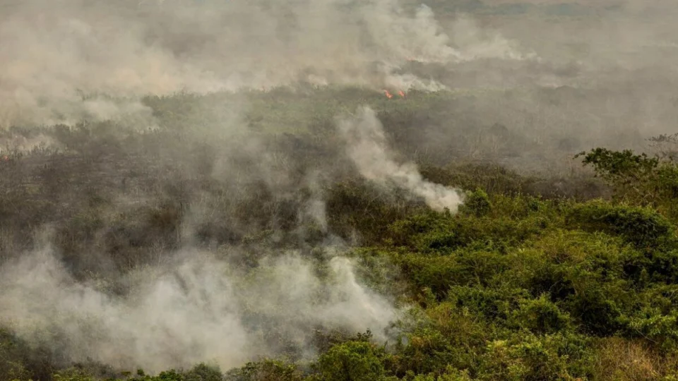 Militares do Exército começam a combater incêndios florestais no Tocantins