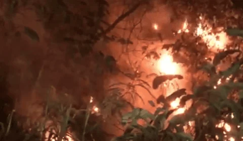 VÍDEO: incêndio atinge área de mata no Coroado em Manaus