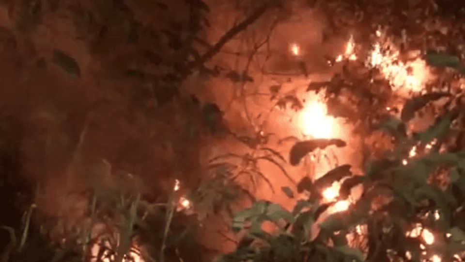 VÍDEO: incêndio atinge área de mata no Coroado em Manaus