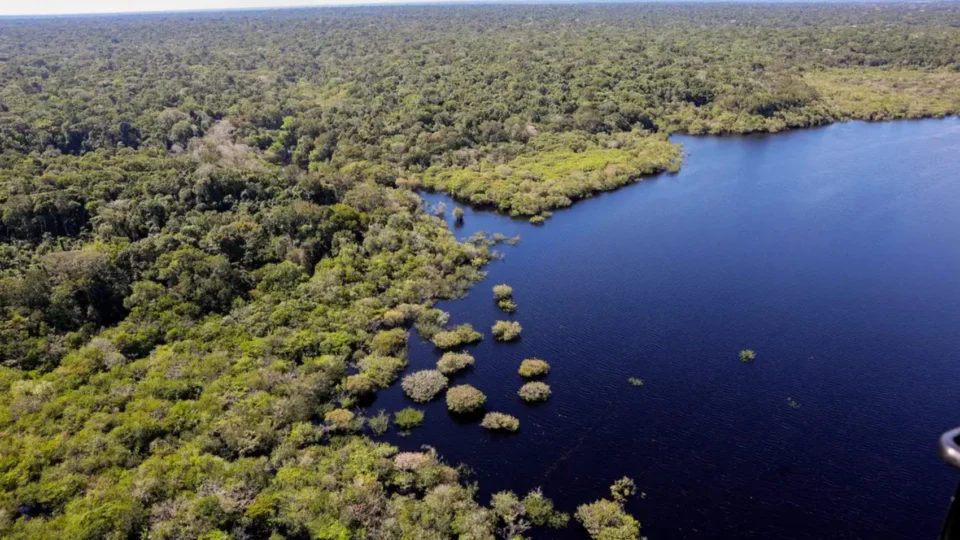 Desmatamento da Amazônia em agosto é o menor em seis anos, diz Inpe