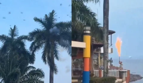 Vídeo mostra homem soltando fogos de artifício para afastar periquitos no AM