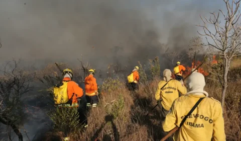 Incêndio atinge Floresta Nacional de Brasília no dia mais seco do ano no DF