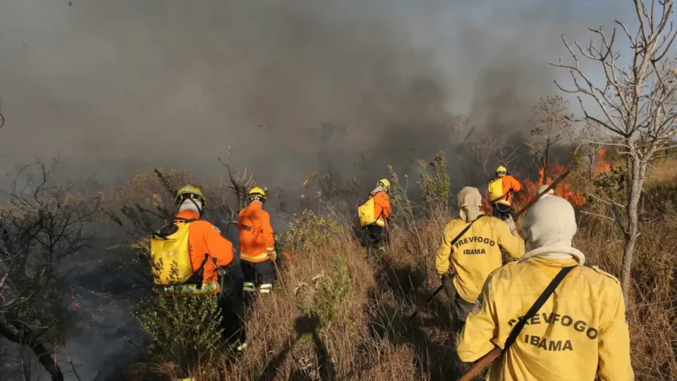Incêndio atinge Floresta Nacional de Brasília no dia mais seco do ano no DF
