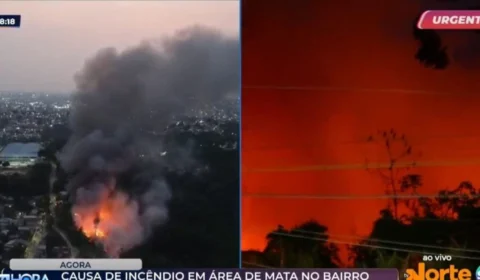 VÍDEO: incêndio de grandes proporções atinge área de mata no Coliseu, em Manaus