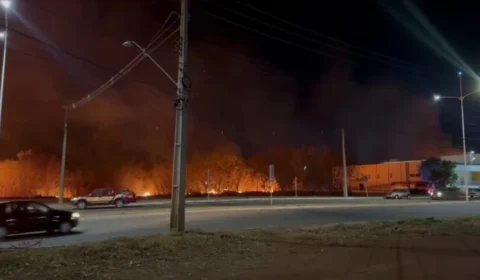 Incêndio em área verde deixa alunos sem aula em Palmas