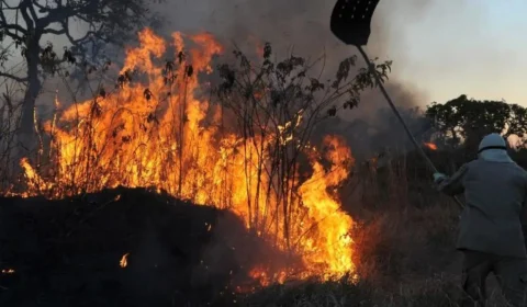 MPF pede 450 brigadistas para combater incêndios na região Norte