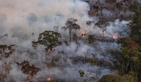 Quais são os sinais de que você inalou muita fumaça das queimadas? Veja 10 sintomas