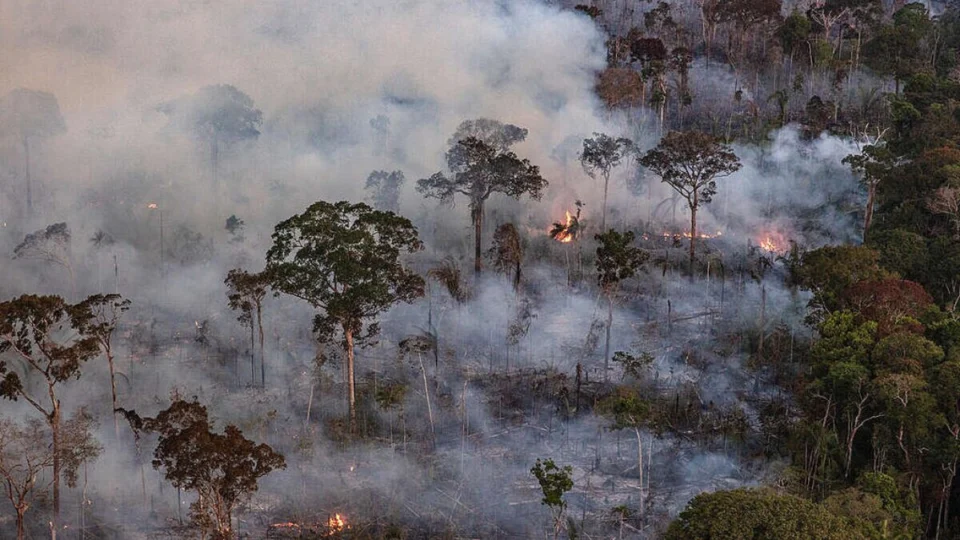 Quais são os sinais de que você inalou muita fumaça das queimadas? Veja 10 sintomas
