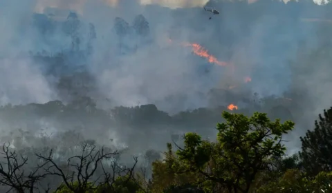 Governo planeja criar centro de resiliência a desastres; entenda