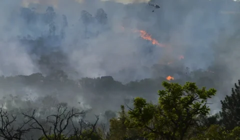 Queimadas na Amazônia aumentam em 60% emissão de gases do efeito estufa