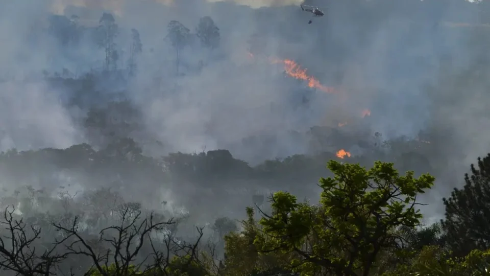 Queimadas na Amazônia aumentam em 60% emissão de gases do efeito estufa