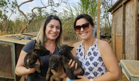 PCDF resgata animais presos em gaiola, sem água e comida