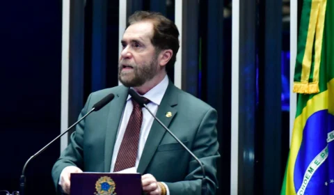 Plínio Valério critica ‘inoperância’ de Marina Silva diante dos incêndios