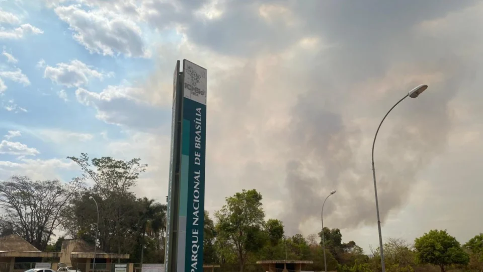 ‘Incêndio em Brasília é criminoso’, afirma o presidente do ICMbio