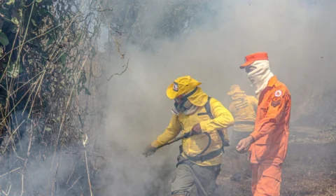 Mais de 1700 incêndio florestais já foram atendidos pelo Corpo de Bombeiros do TO em 2024