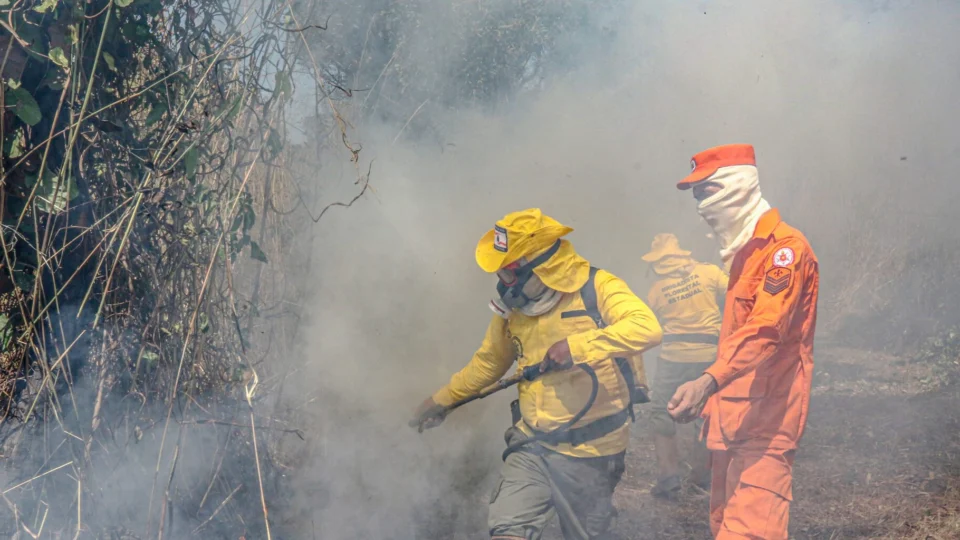 Mais de 1700 incêndio florestais já foram atendidos pelo Corpo de Bombeiros do TO em 2024