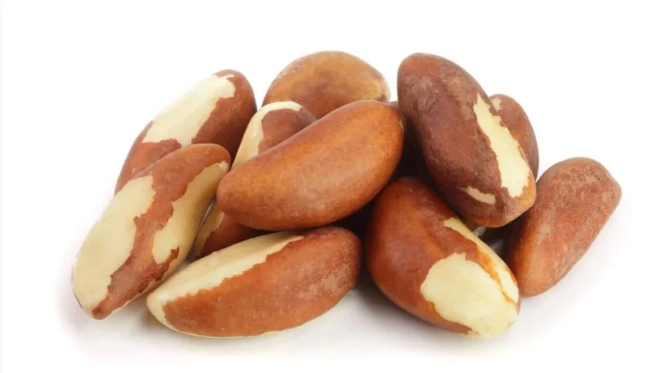 Castanha-do-Pará: quanto comer por dia? Descubra para que serve