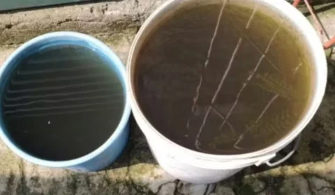 Chuva preta e chuva ácida são a mesma coisa? Entenda as diferenças e seus efeitos