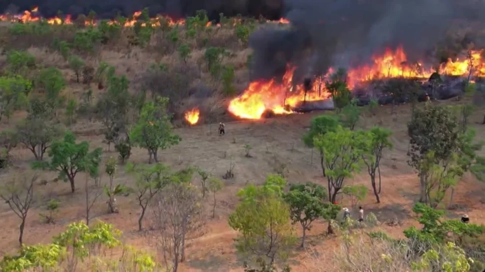 Fogo em Brasília: incêndio atinge Parque Nacional; assista