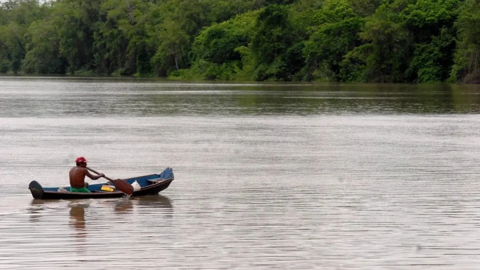 Dia da Amazônia é feriado nacional? Veja origem da data comemorativa
